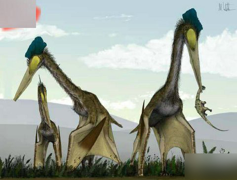 17种完爆恐龙的远古怪物